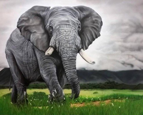 Afrikanischer Elefant auf Leinwand